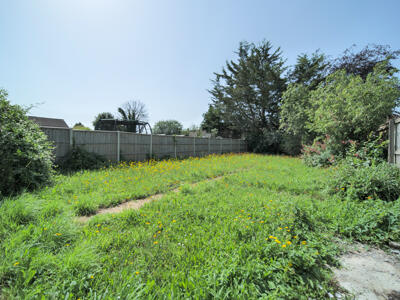 Picture 14